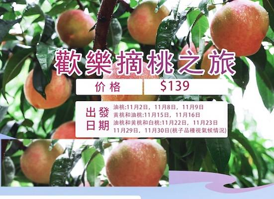 琛岀▼缇庡浘