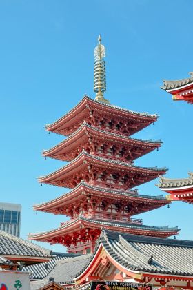 琛岀▼缇庡浘